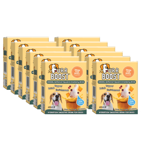 Chicken, Butternut Squash and Cranberry | Case | 12x400ml