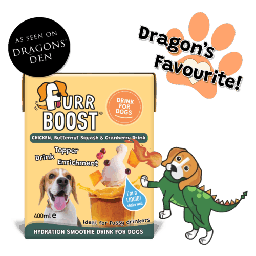 Chicken, Butternut Squash and Cranberry | Carton | 400ml