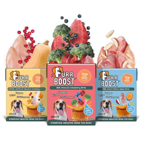 Taster Pack | Traditional Variety | 3x400ml