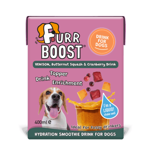 Venison, Butternut Squash and Cranberry | Carton | 400ml