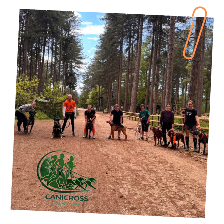 Canicross teamw ith dogs, Furr Boost sponsorship 2026
